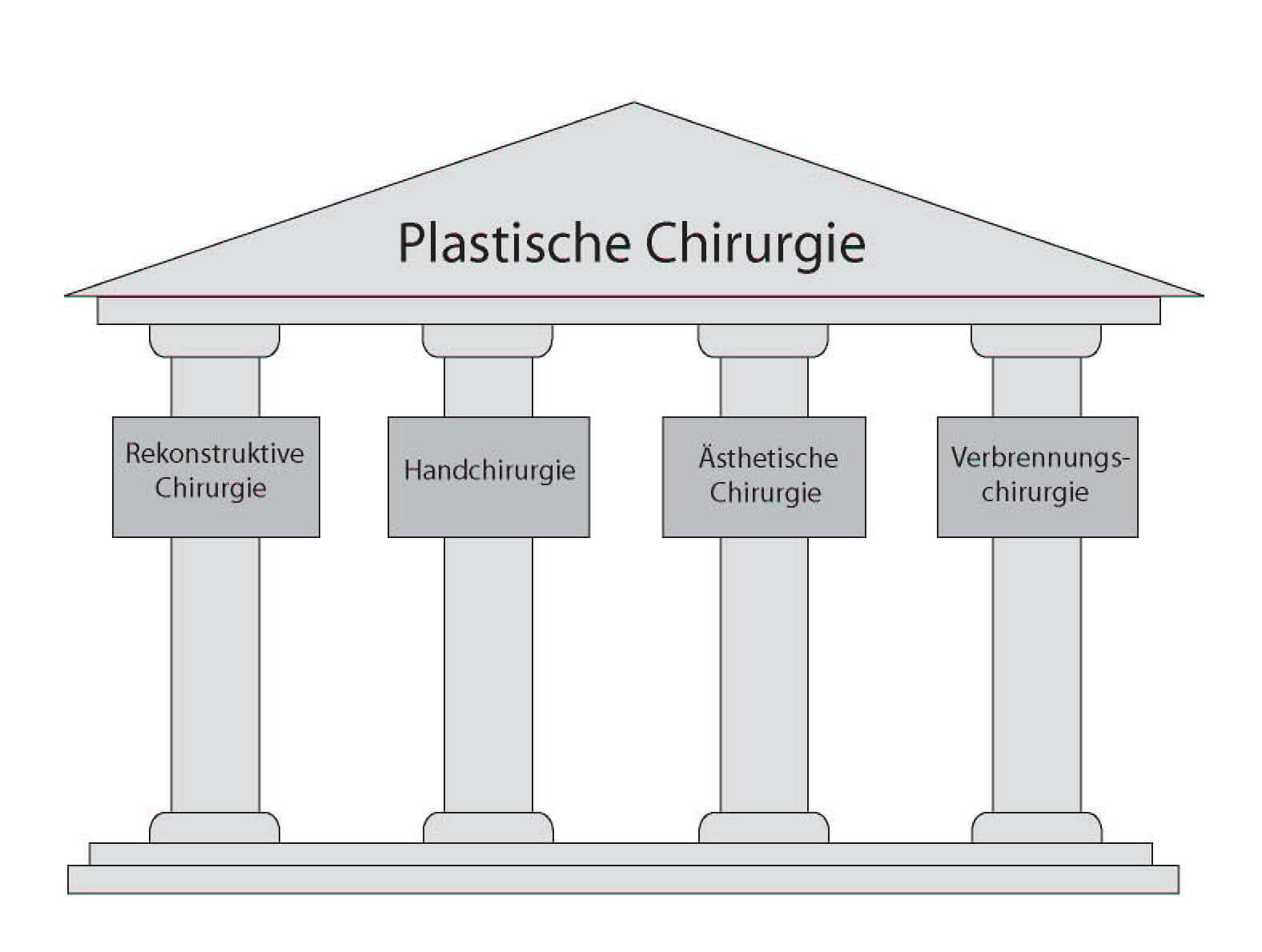Säulen der Plastischen Chirurgie
